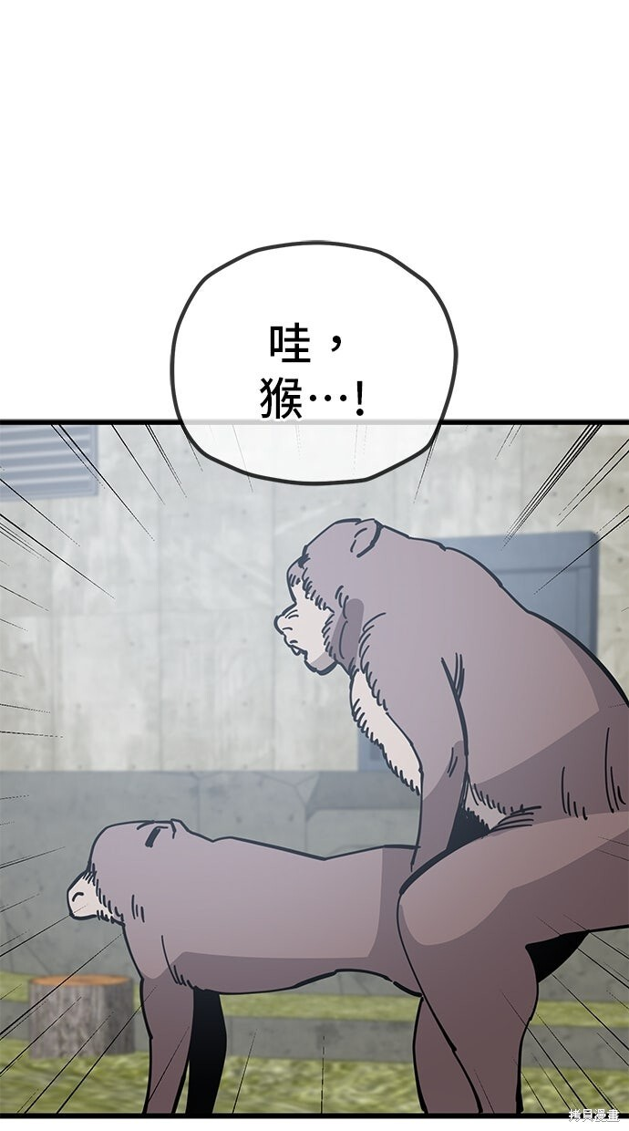 第165话 第37页