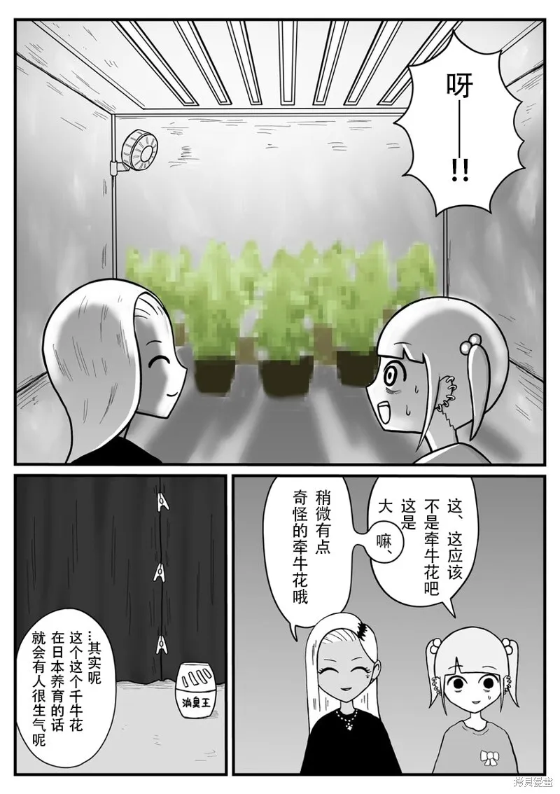 17 第11页