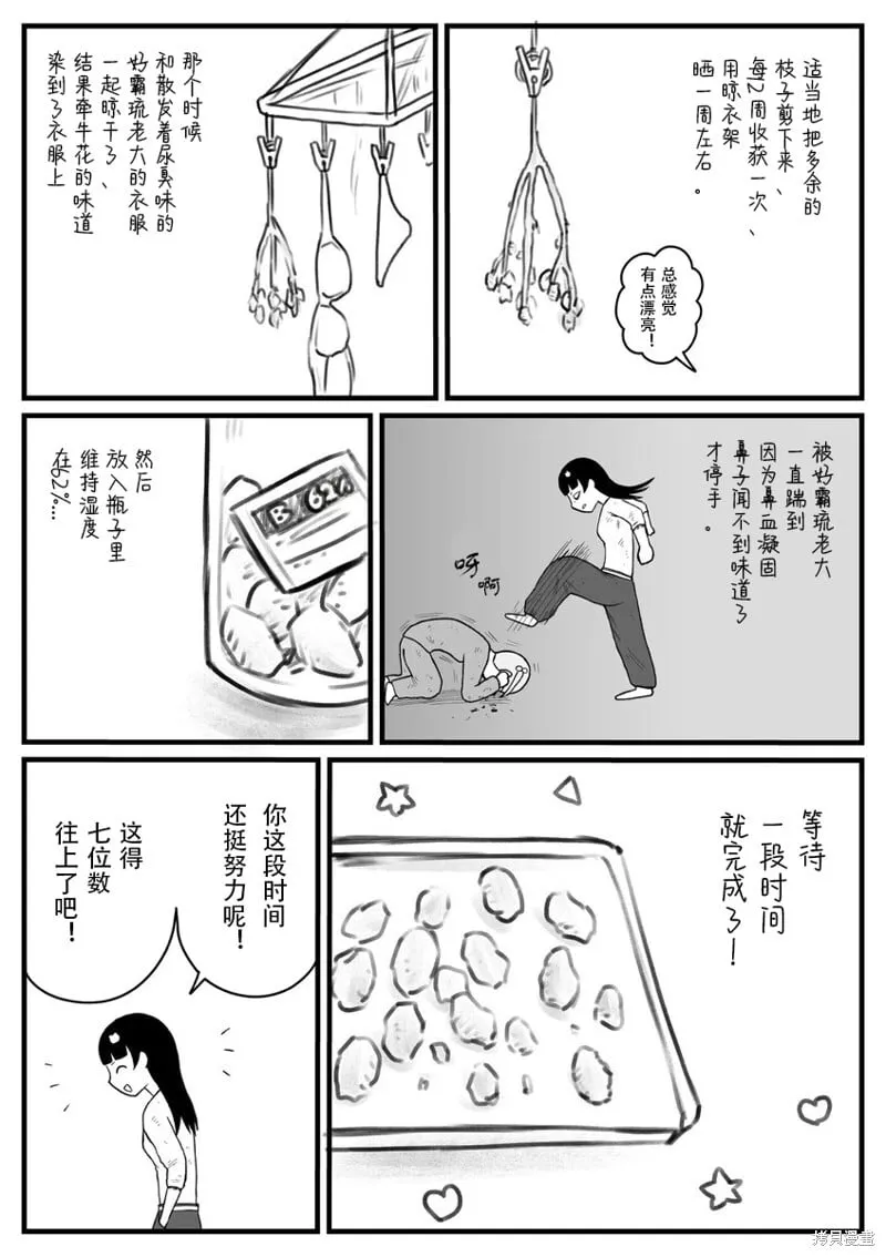 26 第3页