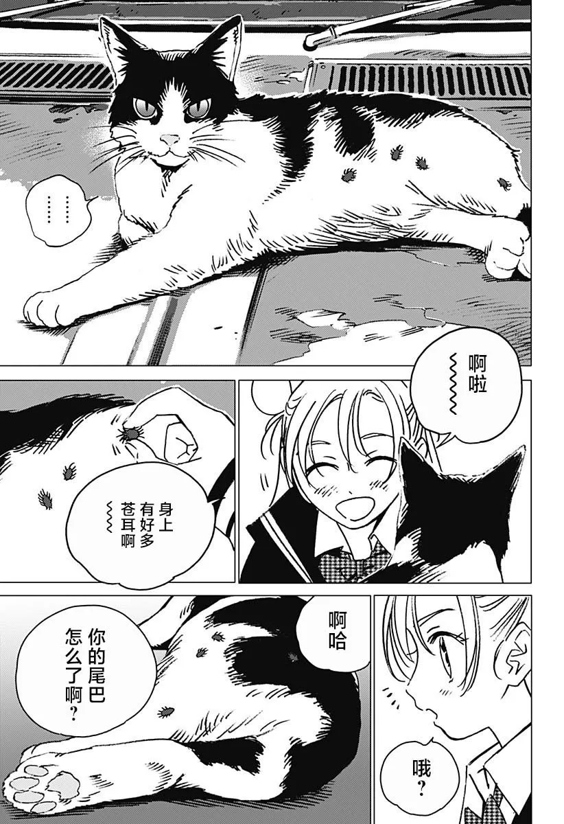 4 第11页