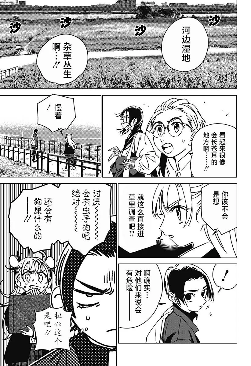 5 第15页