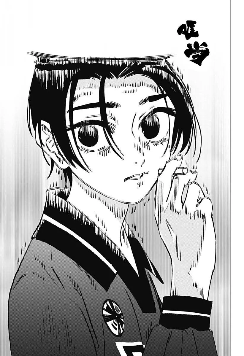 12 第17页