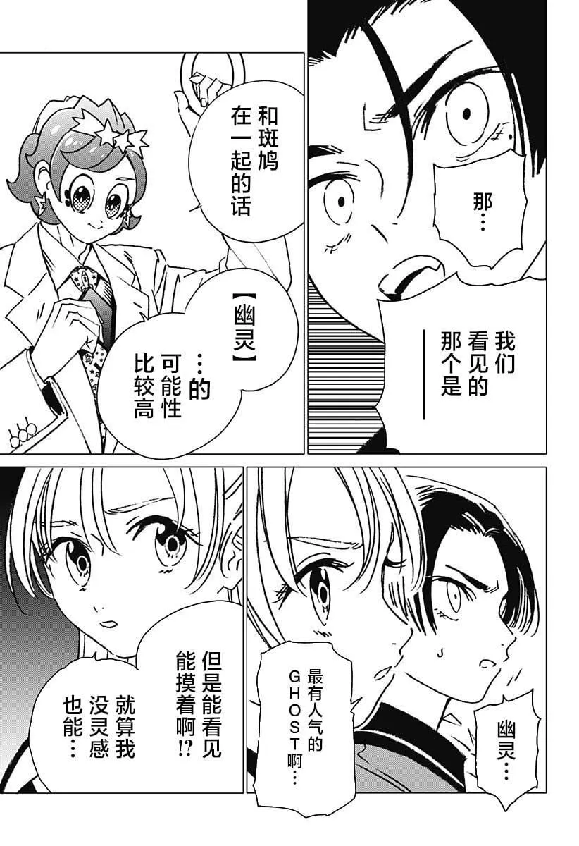 17 第13页