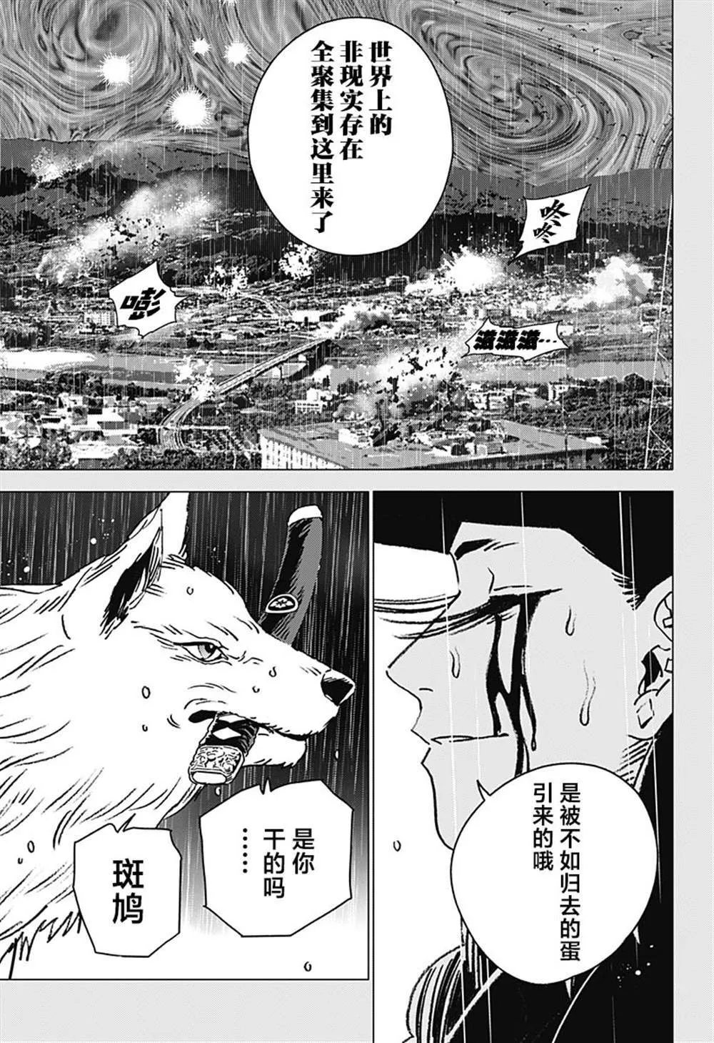 41 第13页