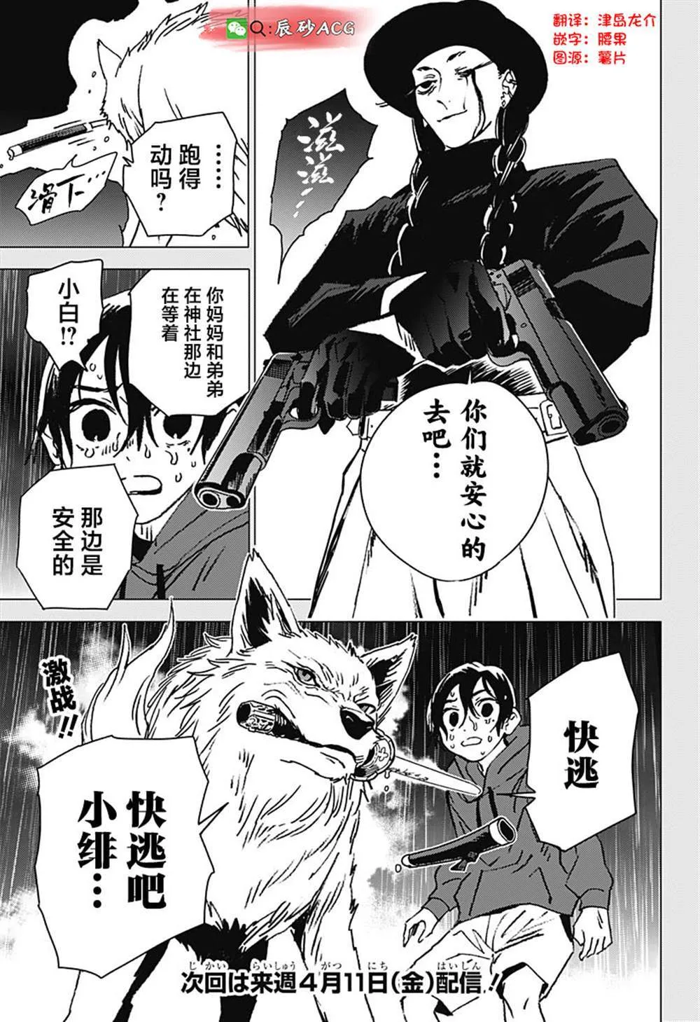 41 第15页