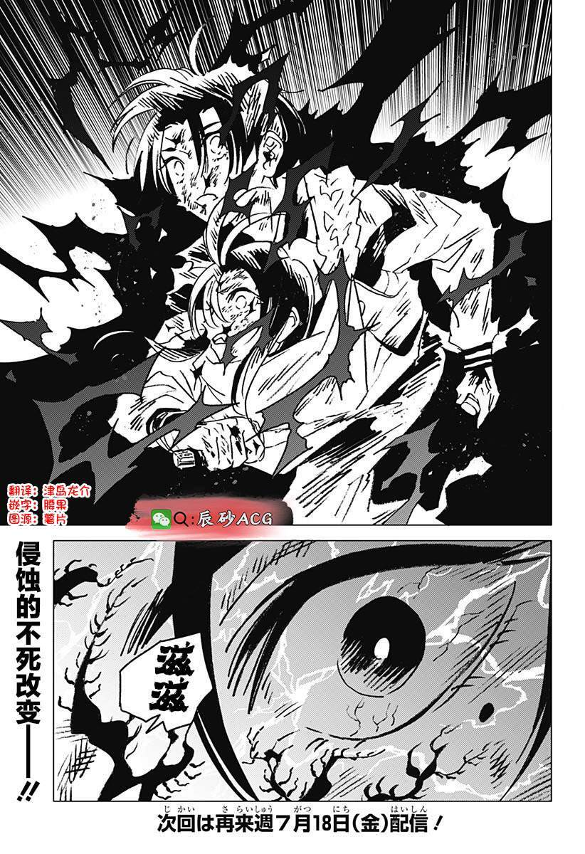 51 第19页