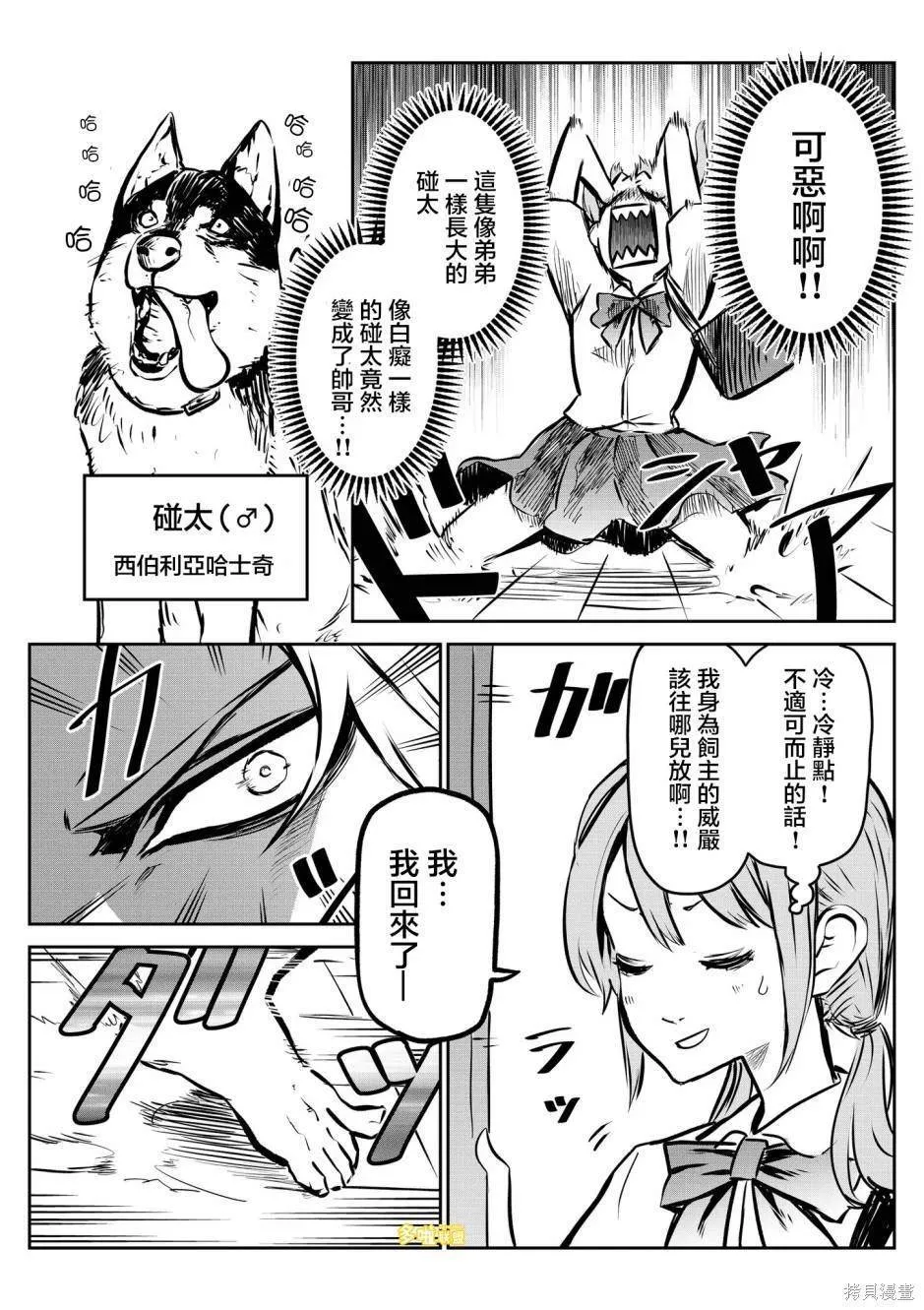 1 第4页