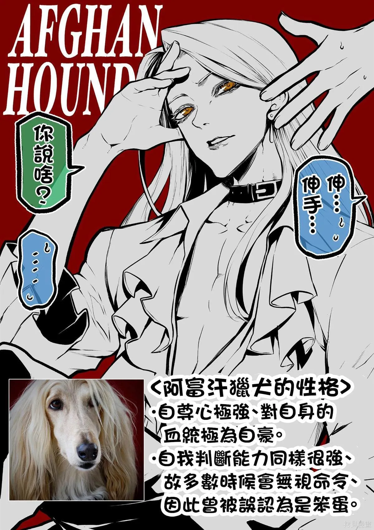 4 第13页