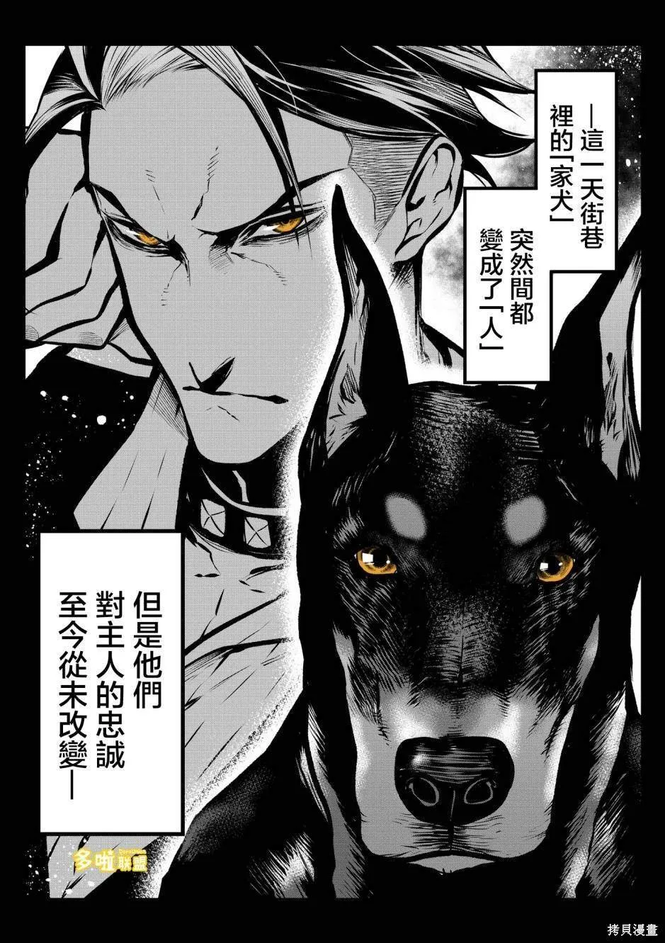 杜宾犬 第2页