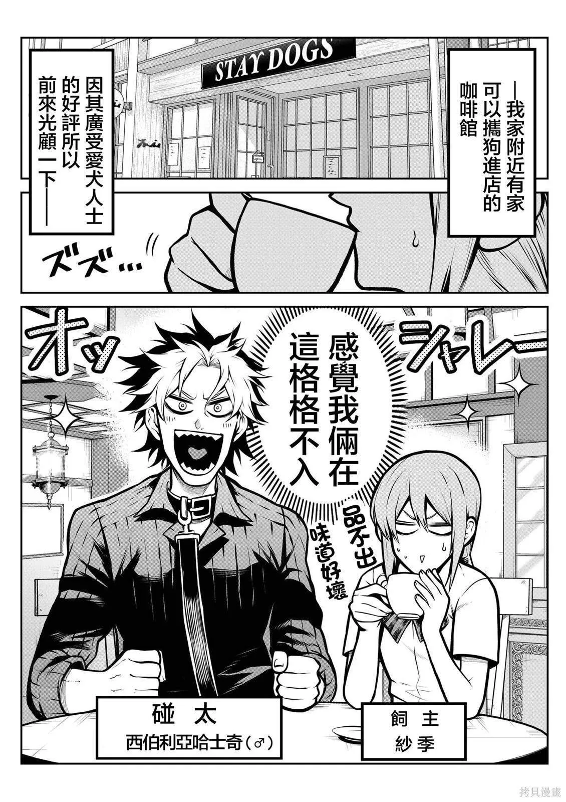 狗狗咖啡店篇 第2页