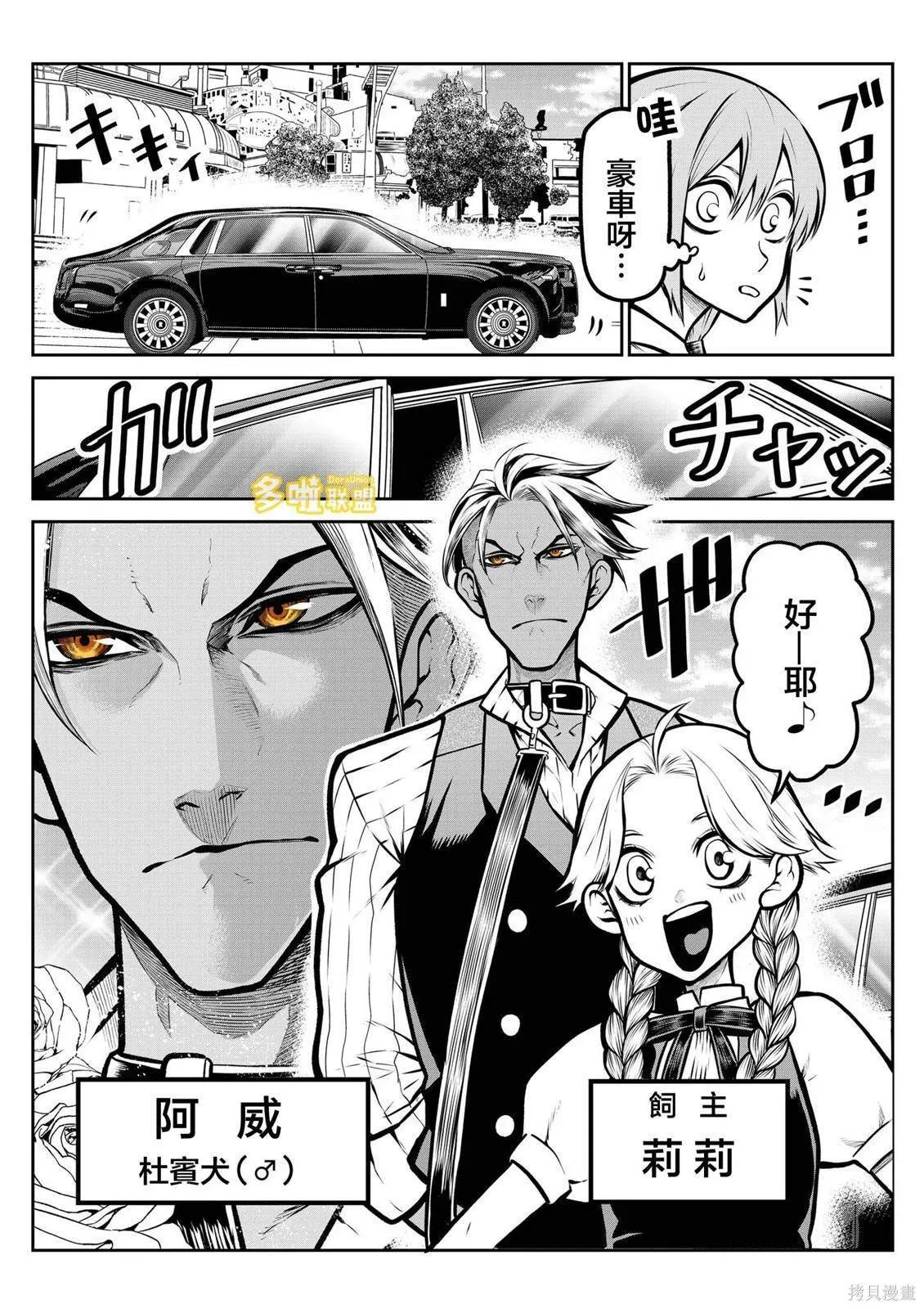 狗狗咖啡店篇 第4页