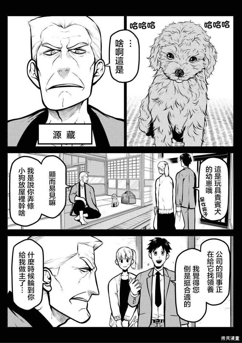 玩具贵宾犬篇 第2页