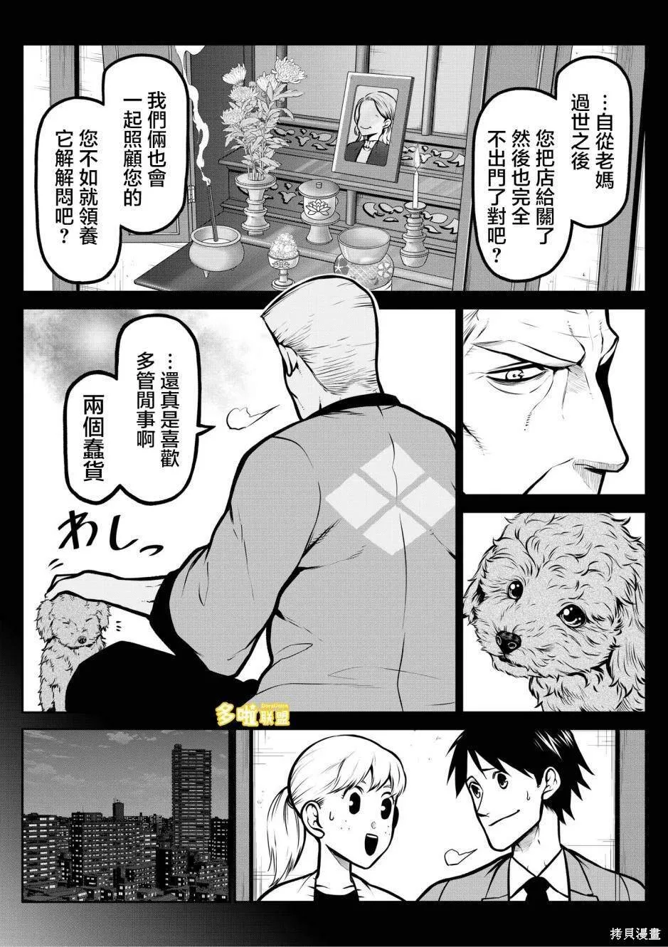 玩具贵宾犬篇 第3页