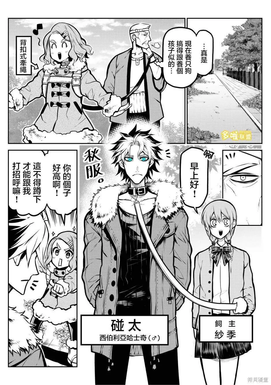 玩具贵宾犬篇 第5页