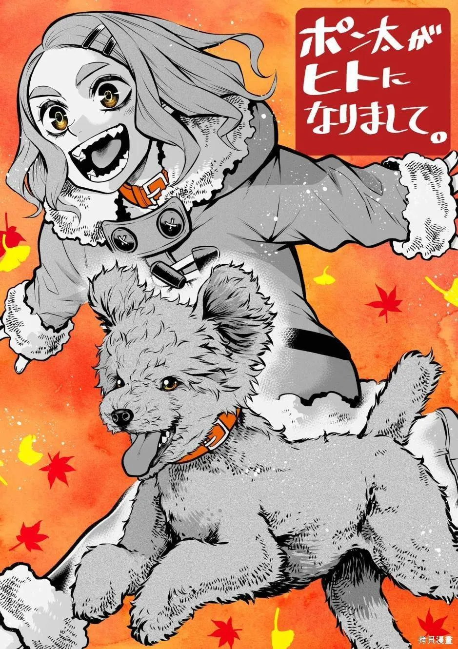 玩具贵宾犬篇 第11页