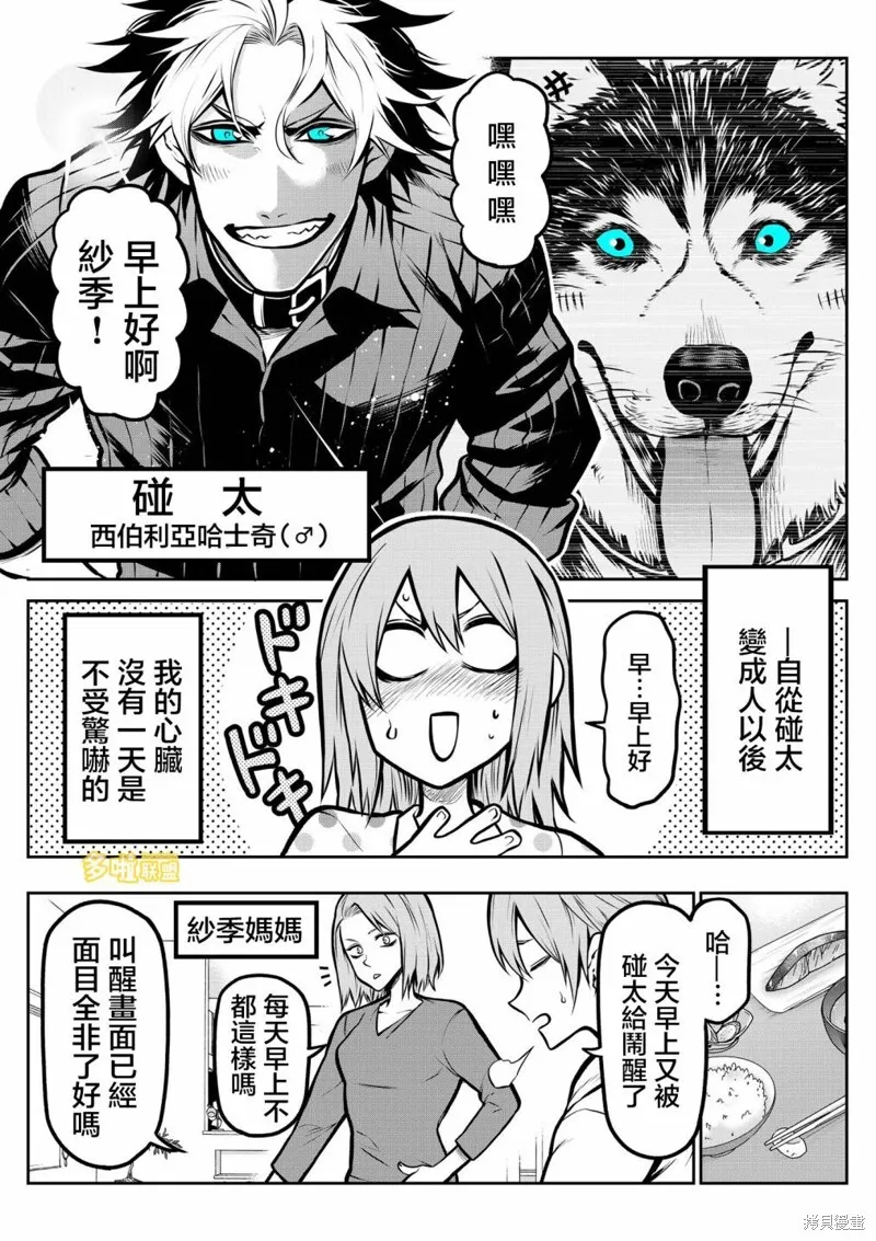 7 第3页