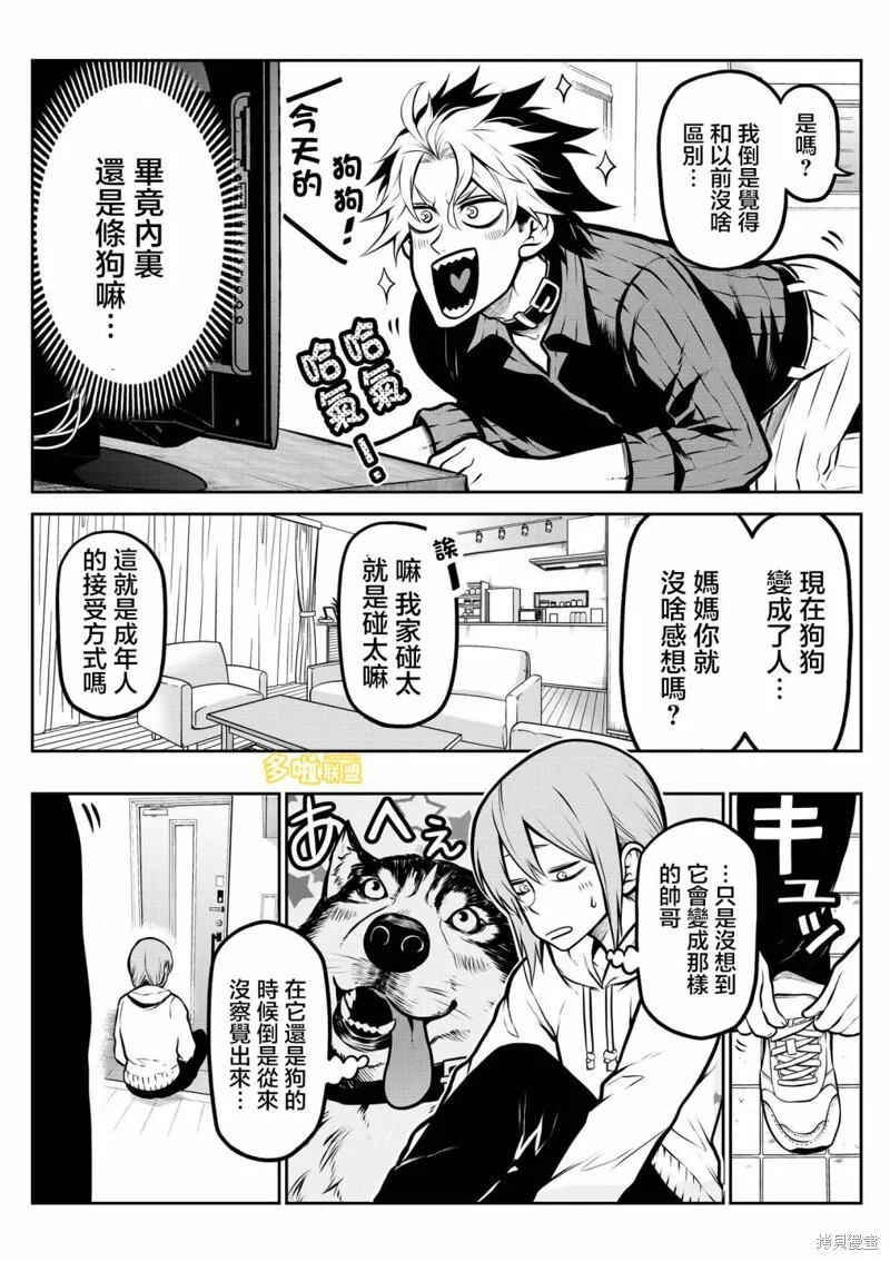 7 第4页