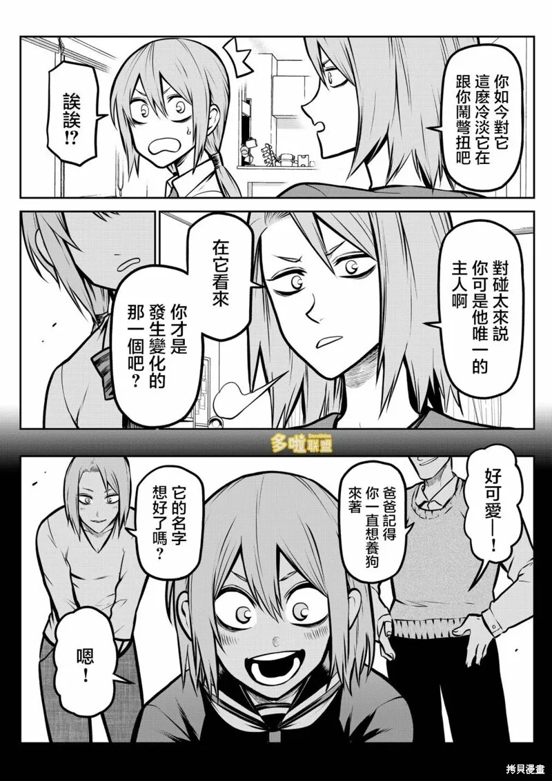 7 第7页