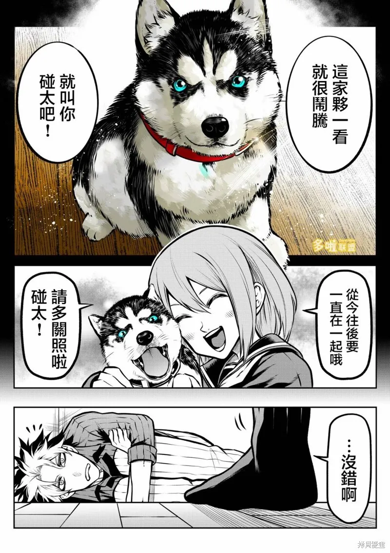 7 第8页