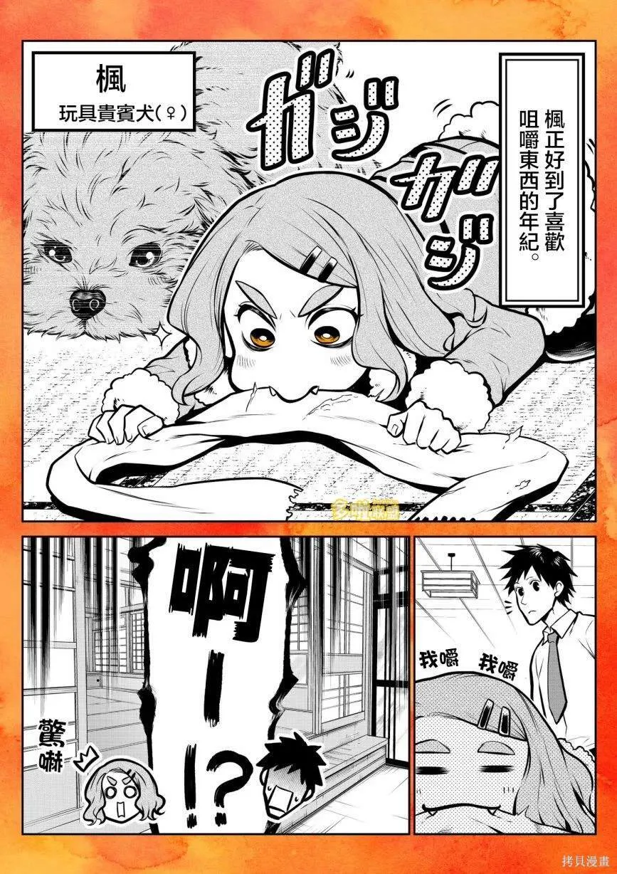 哈士奇酱篇 第12页