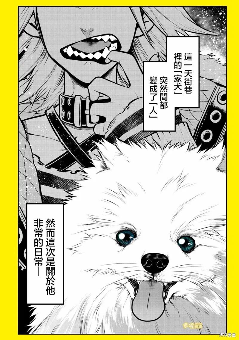 美人姐姐 第6页