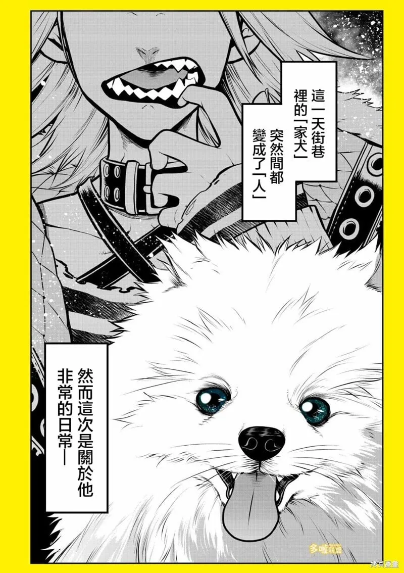 博美篇 第1页