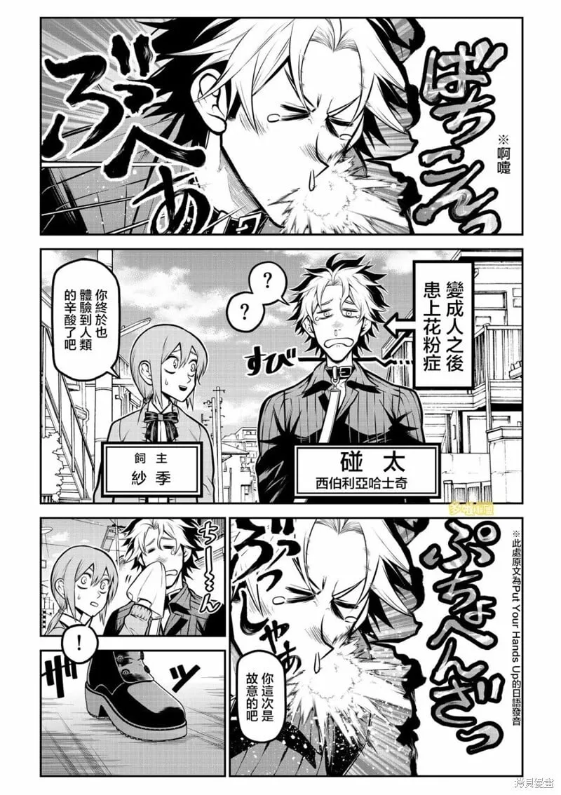 博美篇 第2页
