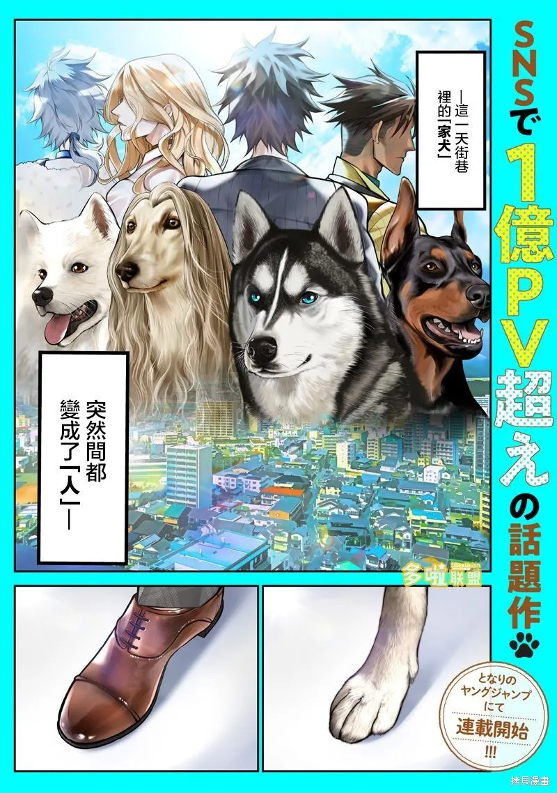 推特杂图1 第15页