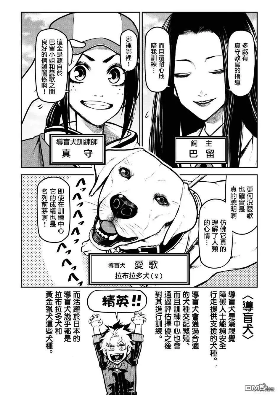 拉不拉多篇 第3页