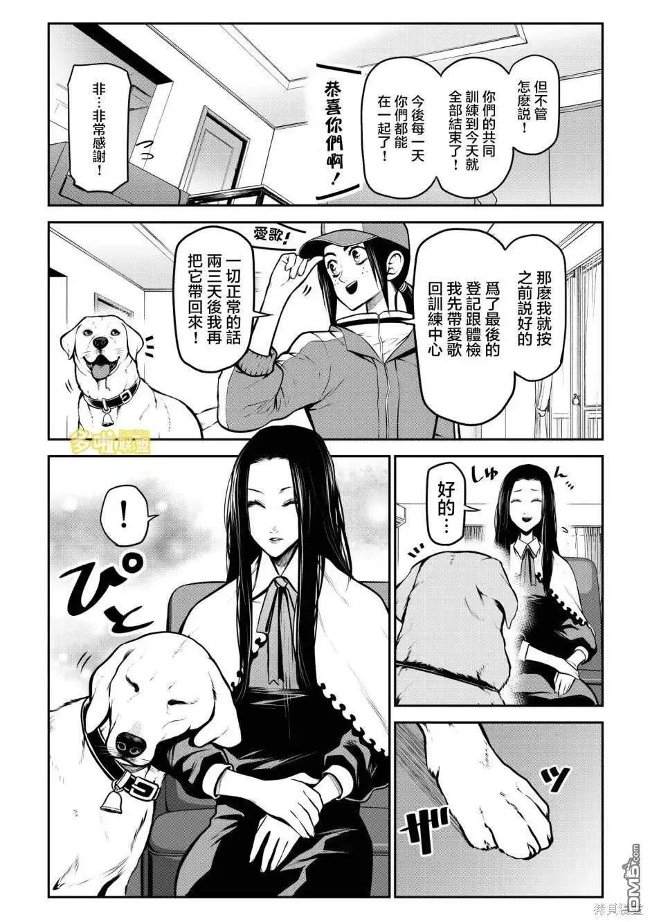 拉不拉多篇 第6页
