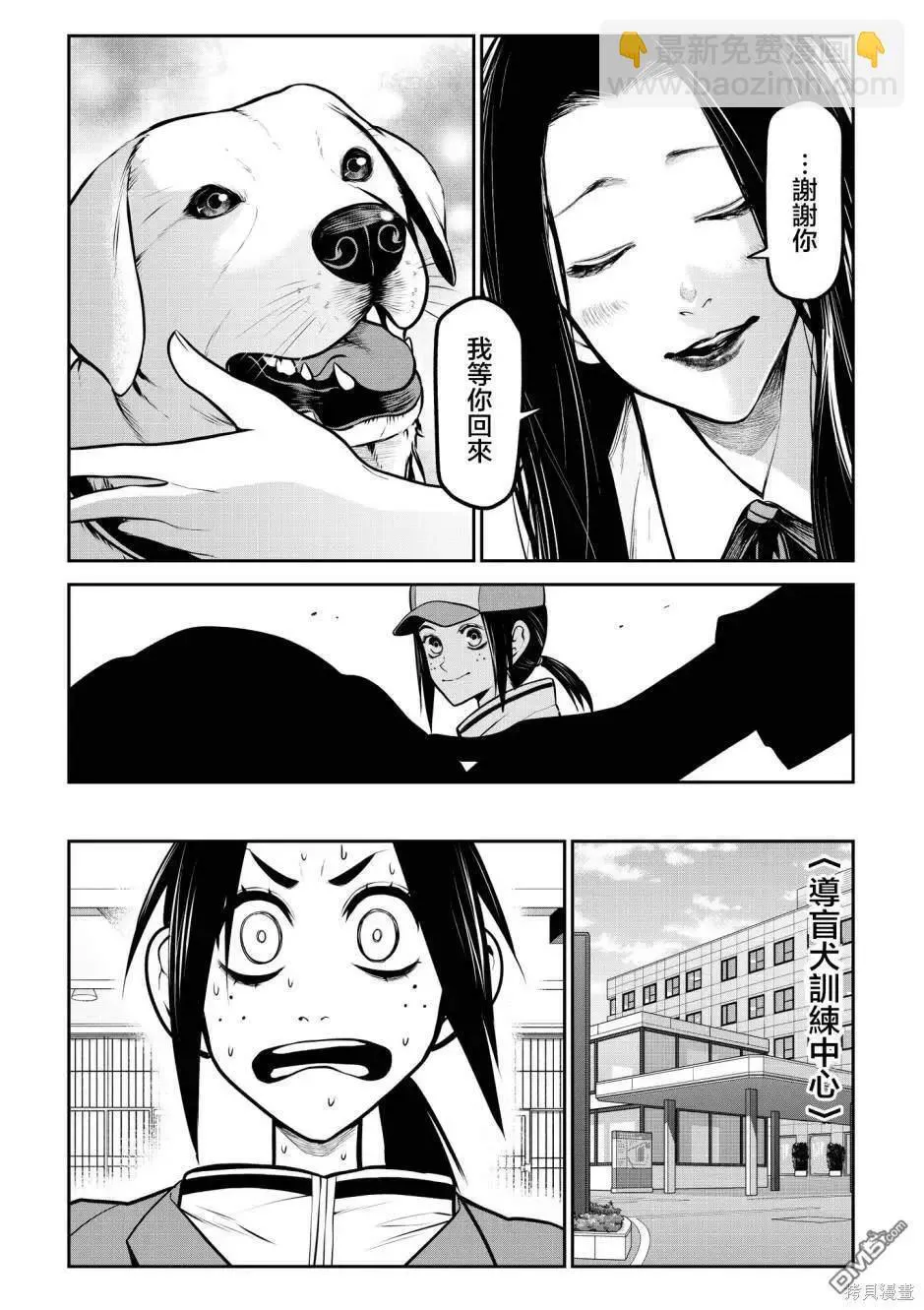 拉不拉多篇 第7页