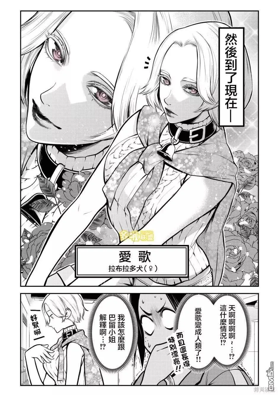 拉不拉多篇 第8页
