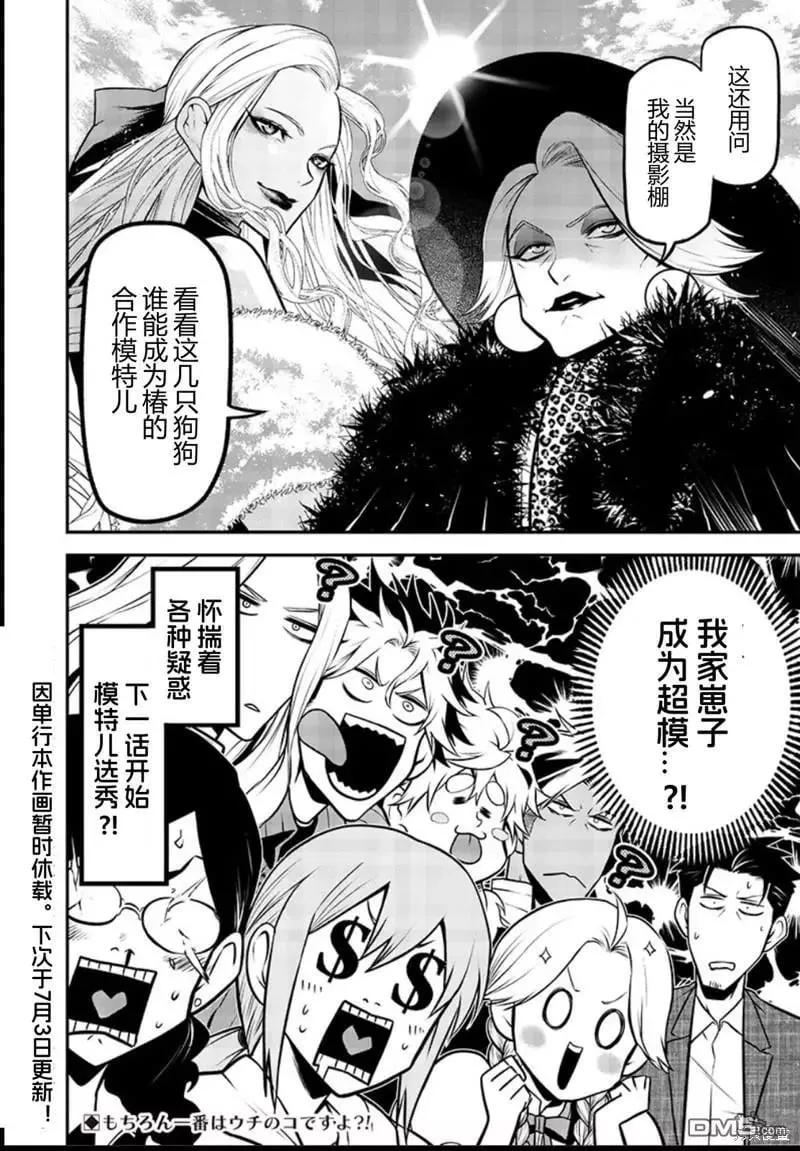 波索尔犬前篇 第14页