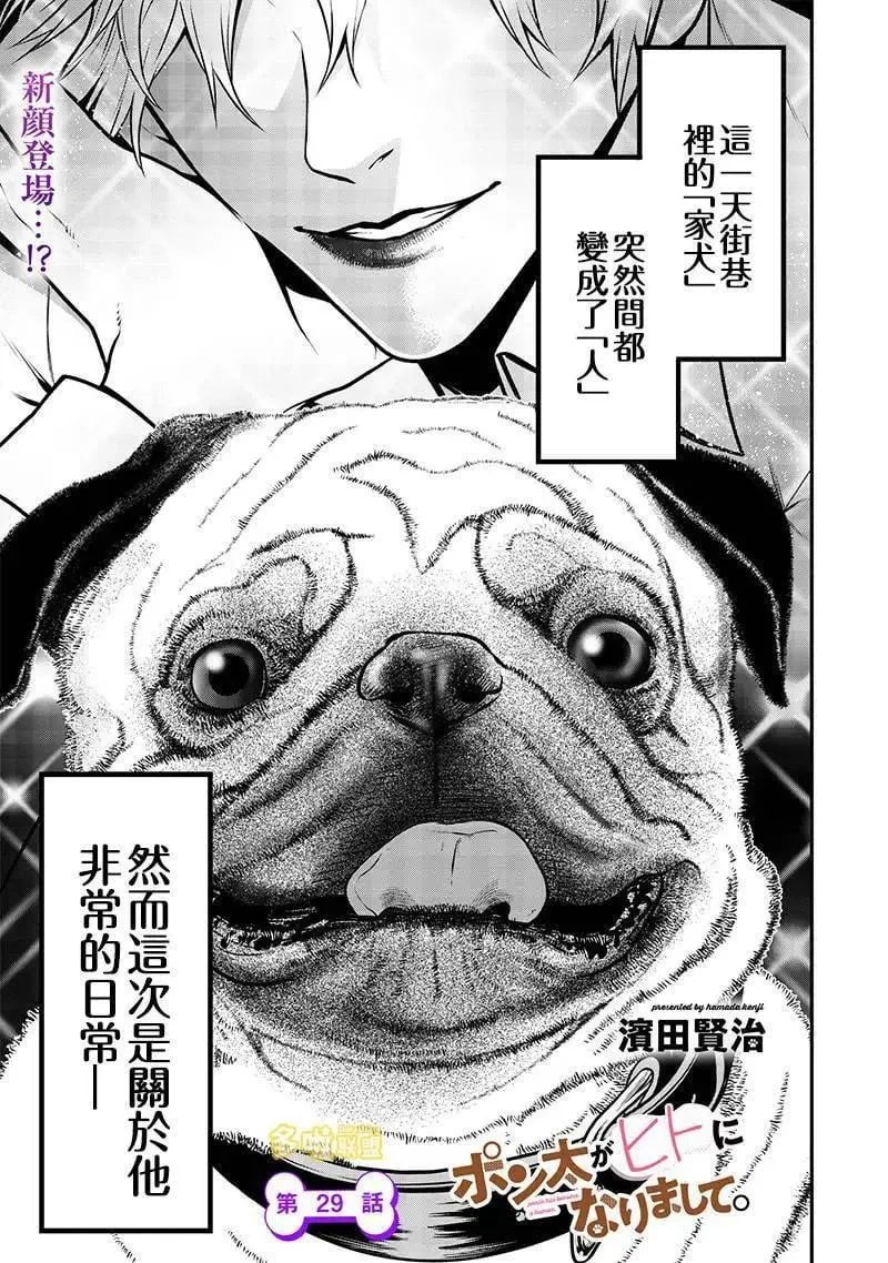 巴哥犬篇 第1页