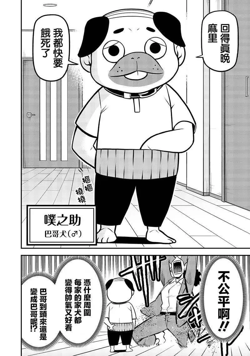 巴哥犬篇 第6页
