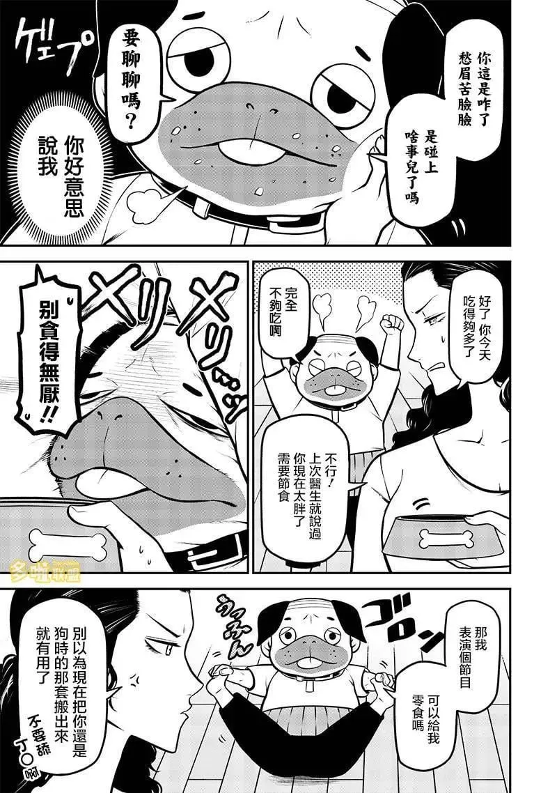 巴哥犬篇 第9页