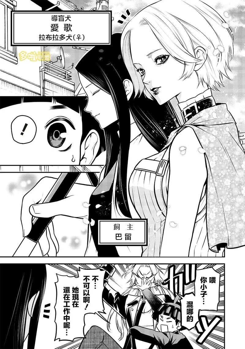 雫与爱歌篇 第3页