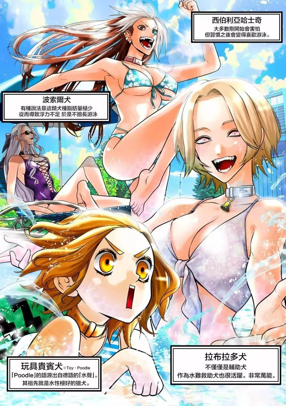 泳池篇 第12页