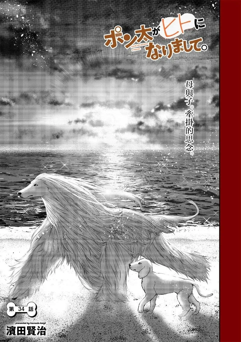 云雀的追忆后篇 第1页