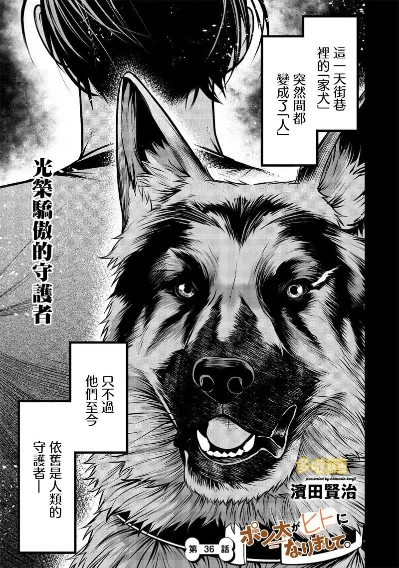 德牧篇 第1页