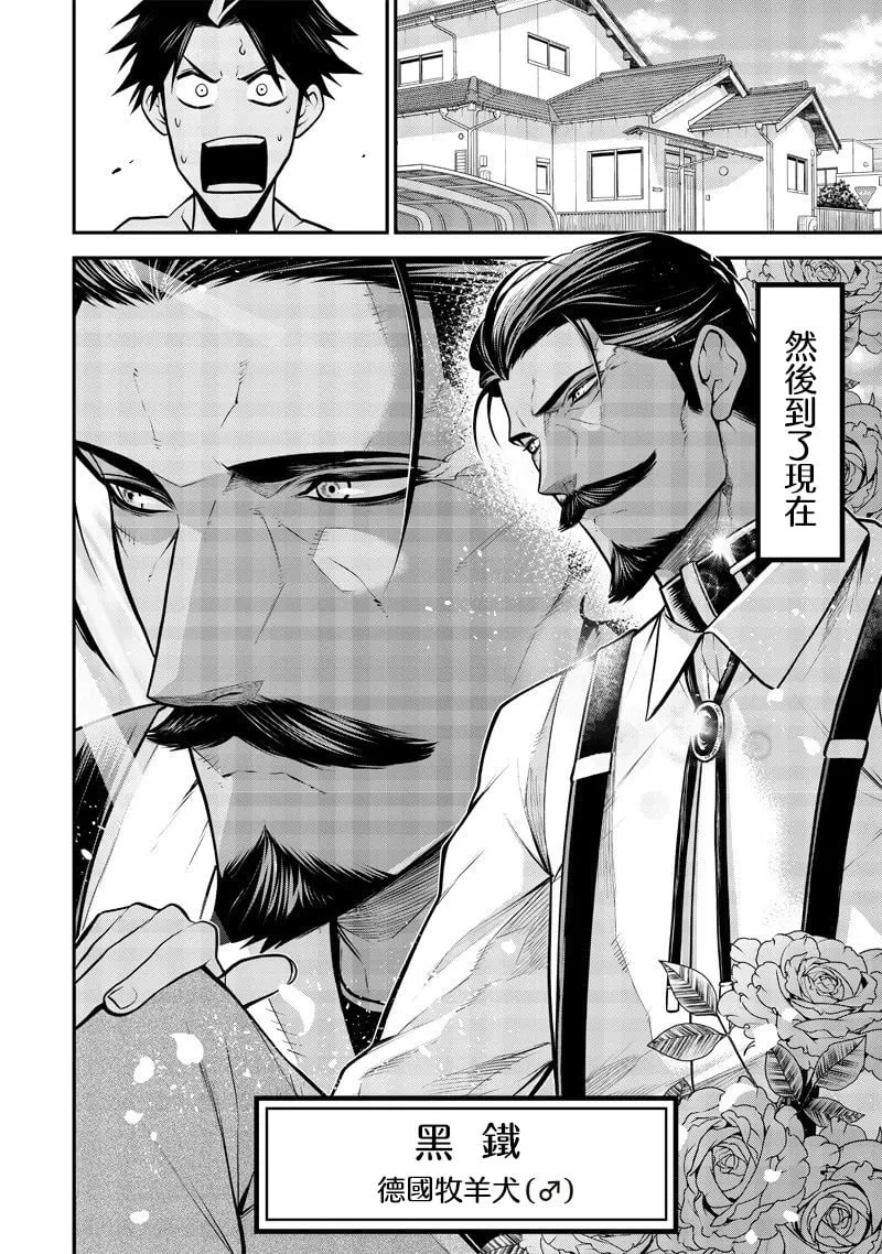 德牧篇 第4页