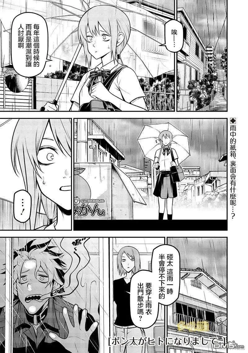捡猫篇 第2页