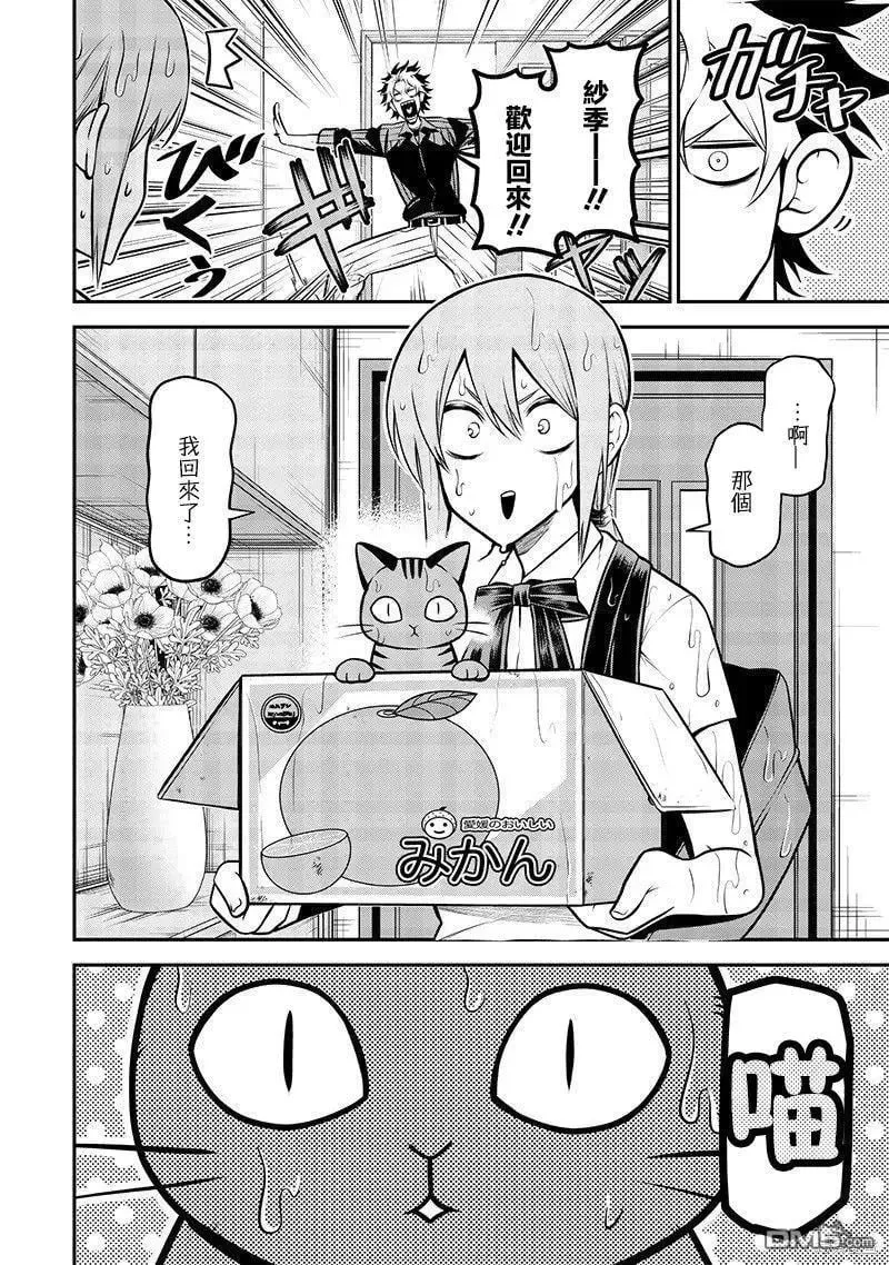 捡猫篇 第3页