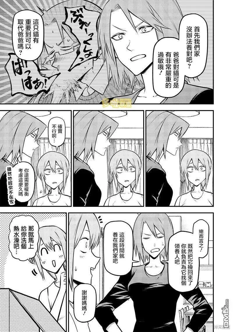 捡猫篇 第6页
