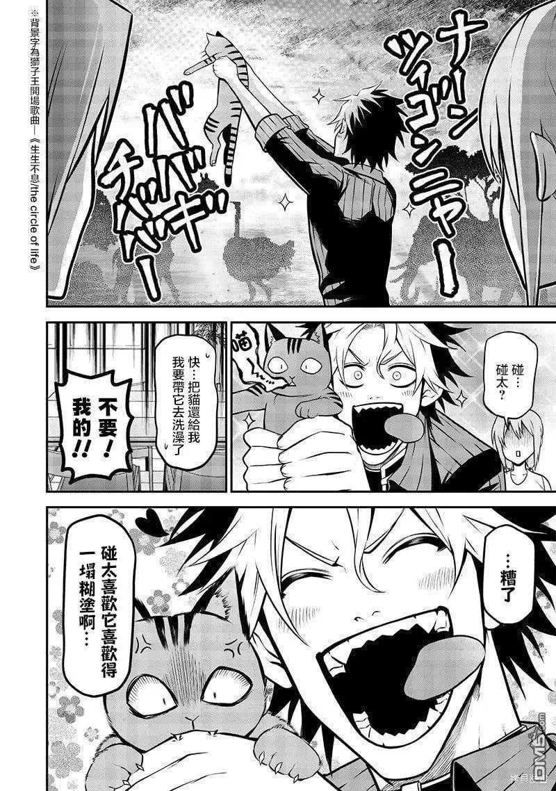 捡猫篇 第7页