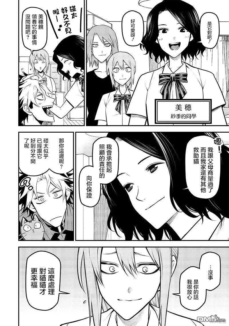 捡猫篇 第11页