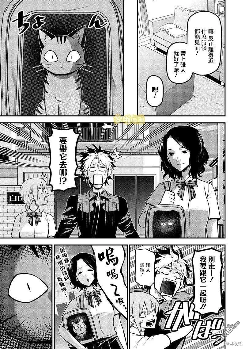 捡猫篇 第12页