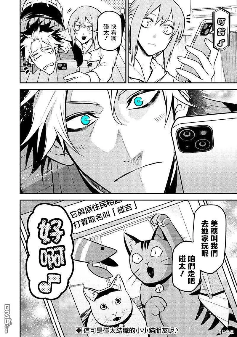 捡猫篇 第15页