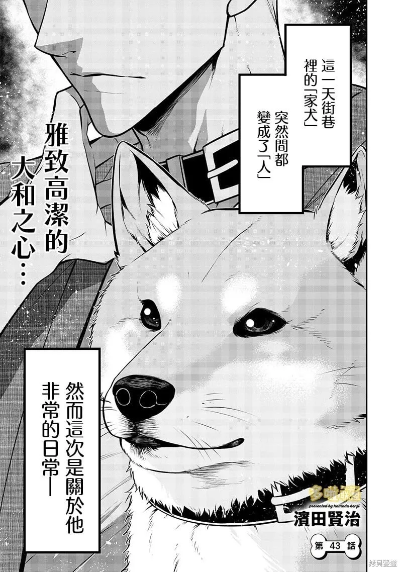 柴犬篇 第1页