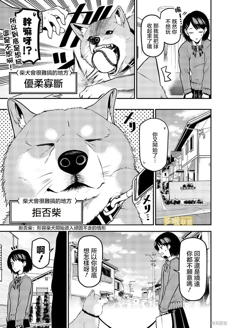柴犬篇 第3页